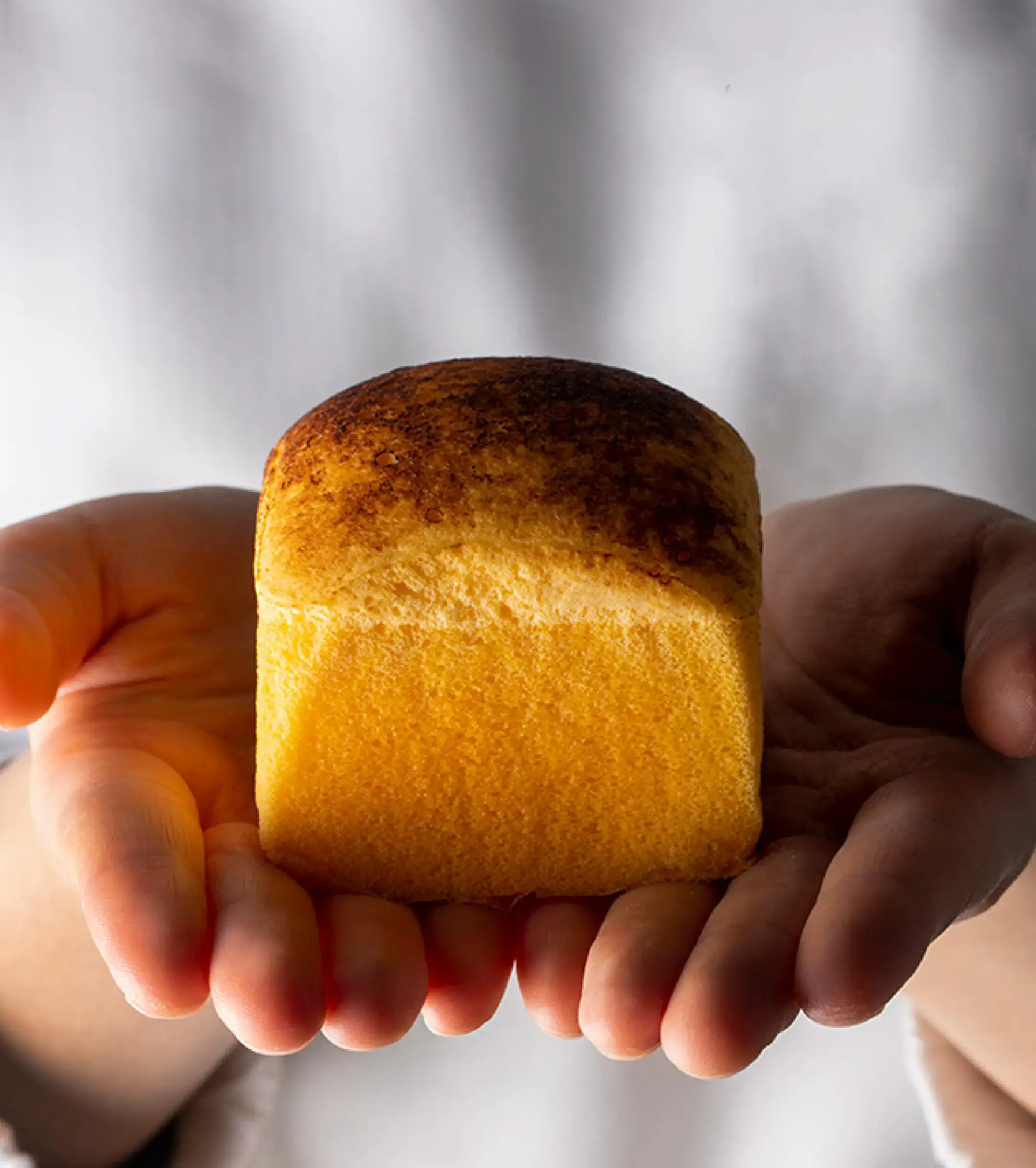 謹製 濃厚たまごパン